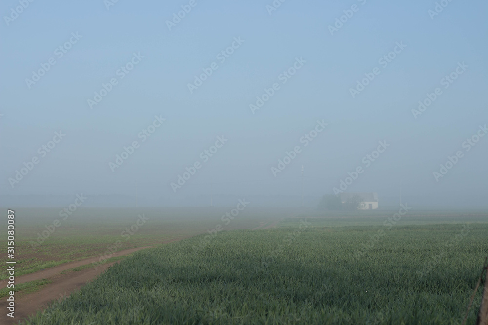 Misty  rural landscape and a house in the background Space for text