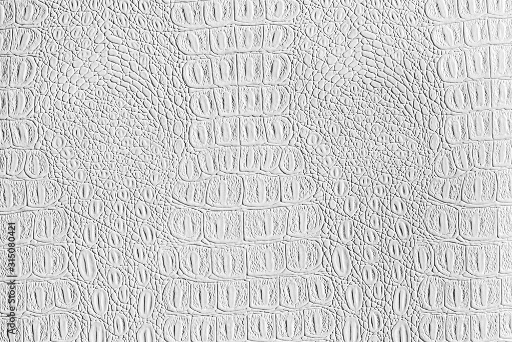 White crocodile leather texture. Abstract background for design with ...