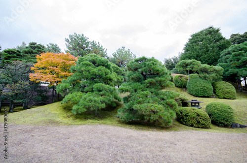 Beautiful Japanese garden inside Nijo Castle in Kyoto