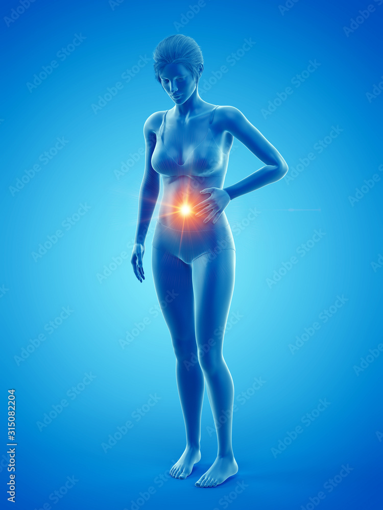 3d rendered medically accurate illustration of a woman having a bellyache 3d rendered medically accurate illustration of a woman having a bellyache