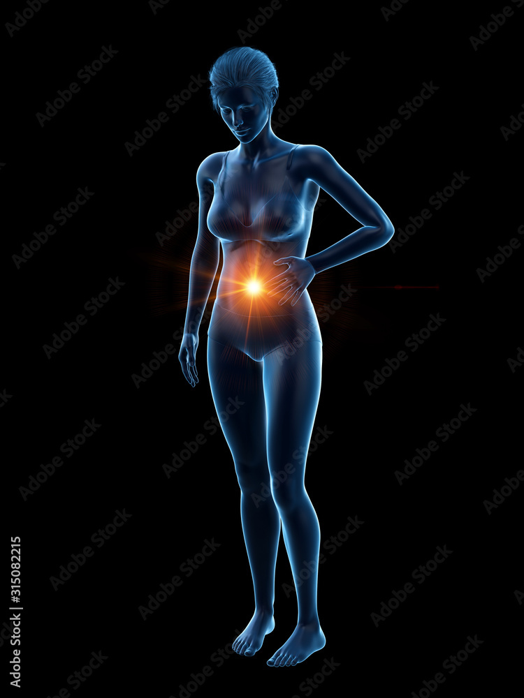 3d rendered medically accurate illustration of a woman having a bellyache 3d rendered medically accurate illustration of a woman having a bellyache