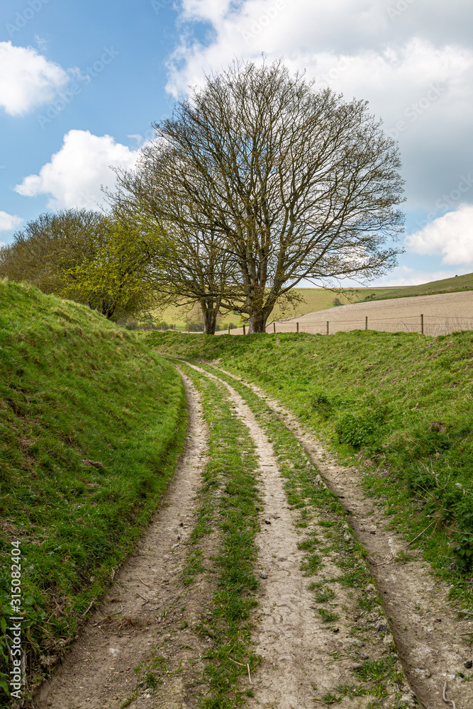 A pathway in the Sussex countryside on a sunny spring day