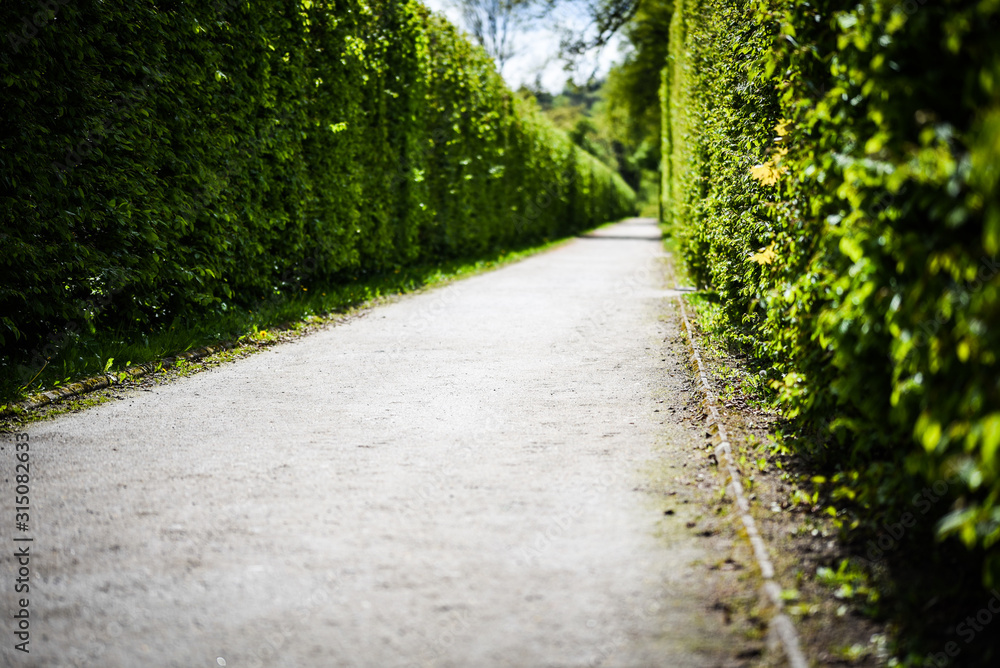 Obraz premium labyrinth road close up view