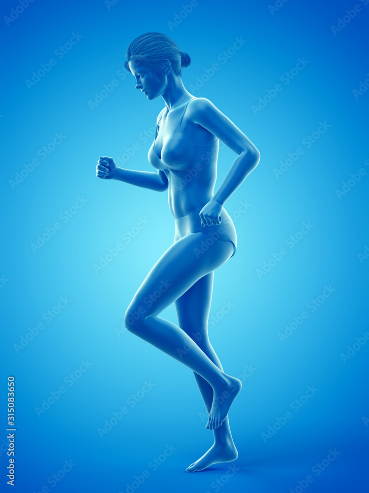 Naklejka premium 3d rendered medically accurate illustration of a woman walking