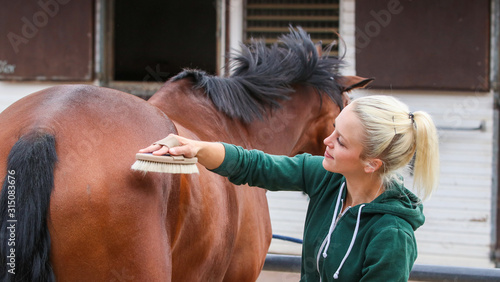 Horse brown is cleaned by a girl, she is cleaning her back with her grooming brush..