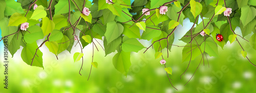 Spring border with branches and leaves