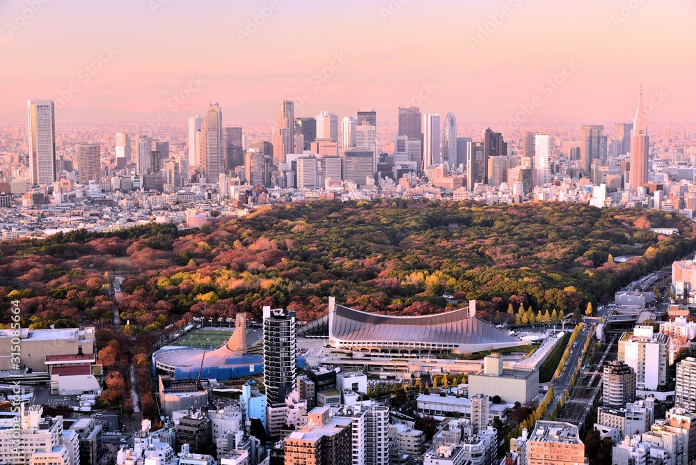 Naklejka premium 東京の風景