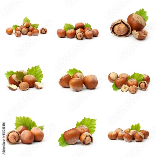 Set of Hazelnut nut many leaves isolated on a white background as a packaging design element