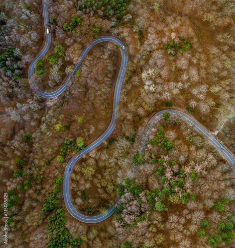 Aerial view of autumn forest with a curvy road. Captured from above with a drone in Bavaria, germany.