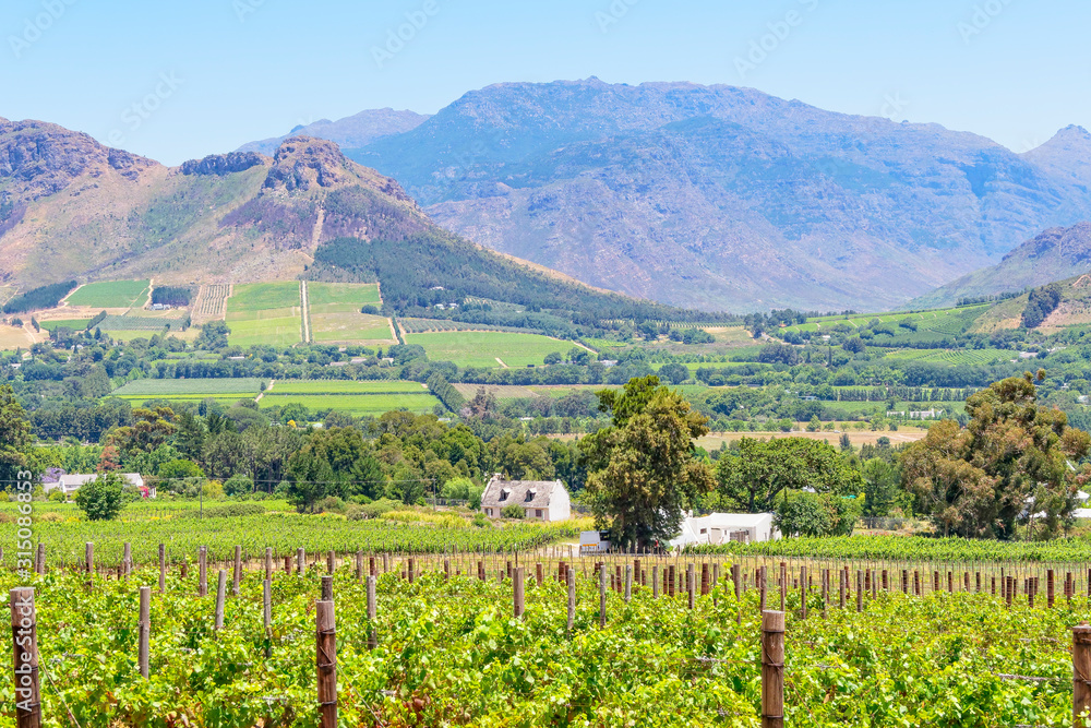 Vineyards and farms near Franschhoek, South Africa