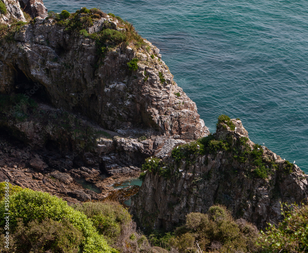 Nugget Point Otago New Zealand. Coast.Ocean and rocks