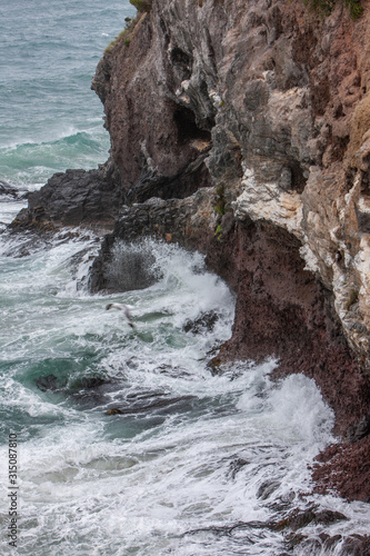 Harington Point Dunedin. Coast. Otago. New Zealand. Rocks. Gannet colony.