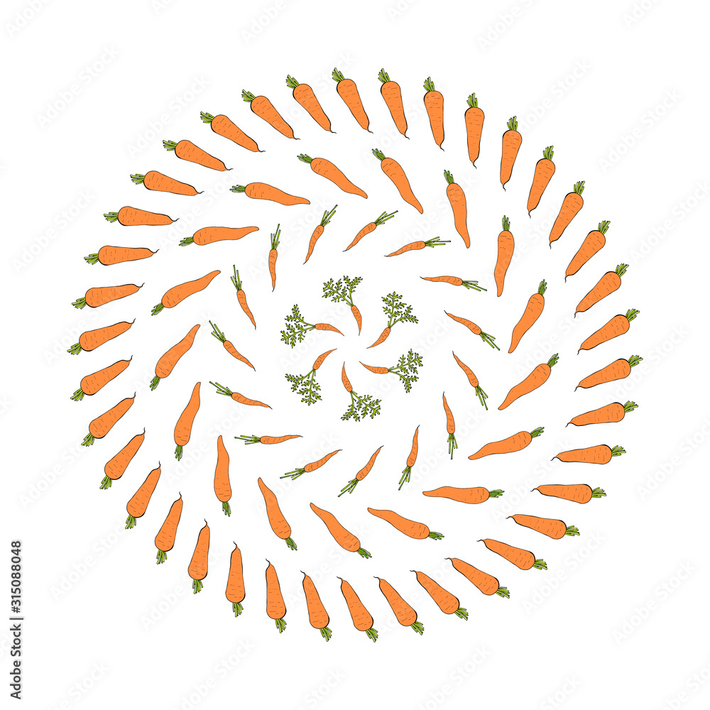 Fototapeta premium Round frame with beautiful carrots ornament. Isolated wreath on white background for your design
