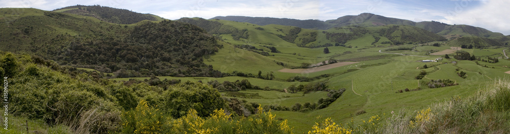 Hills and Meadow New Zealand. Panorama valley