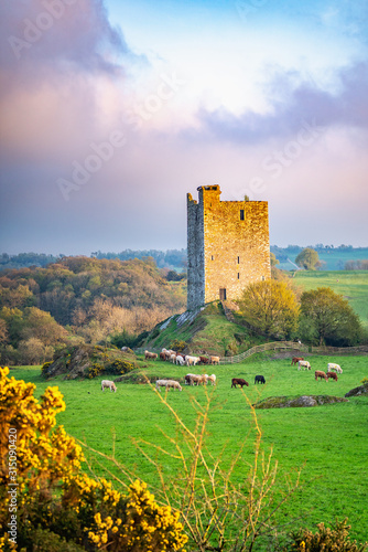 Carrigaphooca Castle photographed from the north east in the evening