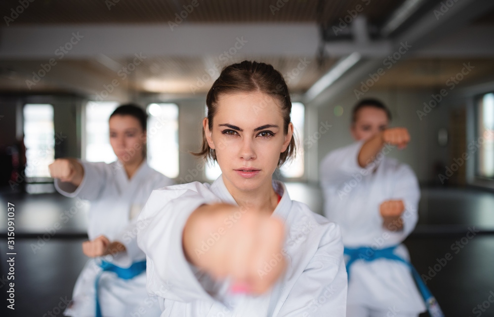 Group of young women practising karate indoors in gym. Group of young women practising karate indoors in gym.