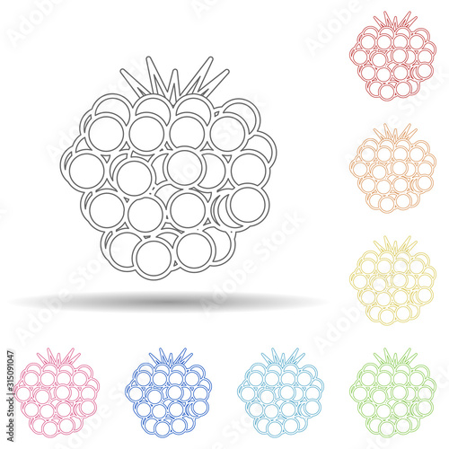 Currant in multi color style icon. Simple thin line, outline vector of fruit icons for ui and ux, website or mobile application