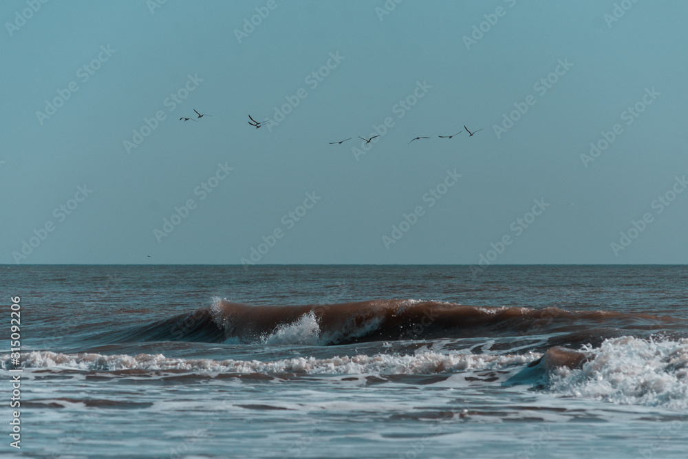 Fototapeta premium Mar 19