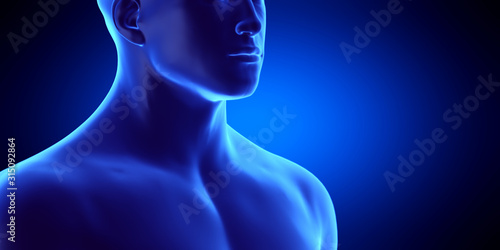 3d rendered medically accurate illustration of the male throat