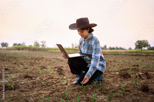 young woman use laptop computer checking corn in farm. technology agriculture conept