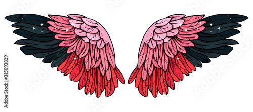 Beautiful pink black flamingo wings, vector