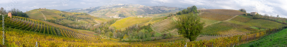 Wide panorama of the Langhe vineyards near the village of Serralunga d'Alba (Cuneo Province, Piedmont, Northern Italy); UNESCO Site