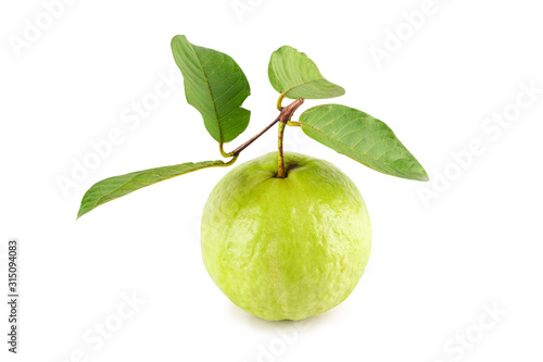 fresh guava and green guava leaf on white background fruit agriculture food isolated