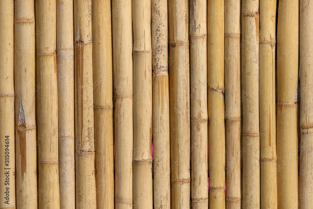 Bamboo trunk background and texture Bamboo trunk background and texture