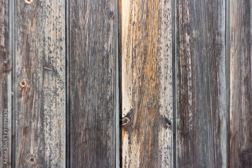 Fototapeta premium Wooden old fence texture closeup
