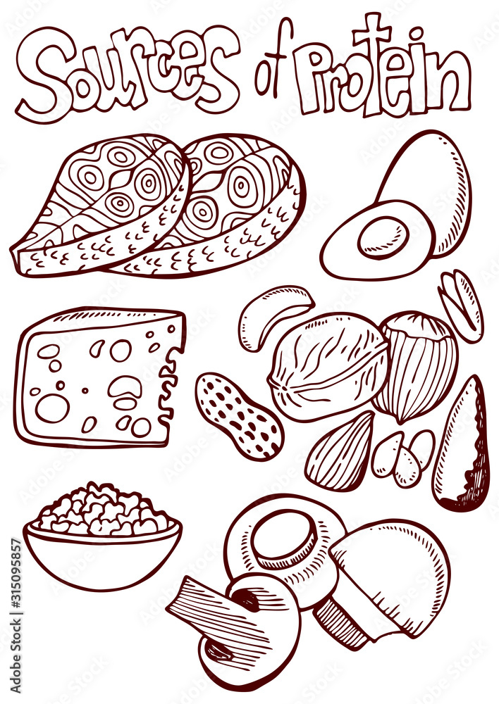 Protein Drawing