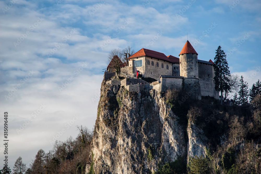 view of the castle on the rocks at bled lake, ljubljana, slovenia