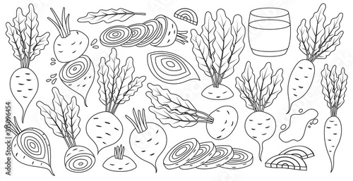 Vegetable of beet vector line set icon. Vector illustration beetroot root on white background .Isolated line set icon food of beet.