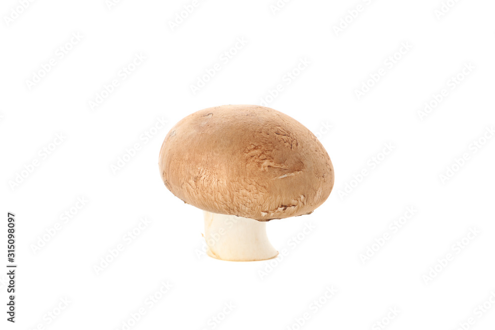 Raw champignon mushroom isolated on white background, close up Raw champignon mushroom isolated on white background, close up