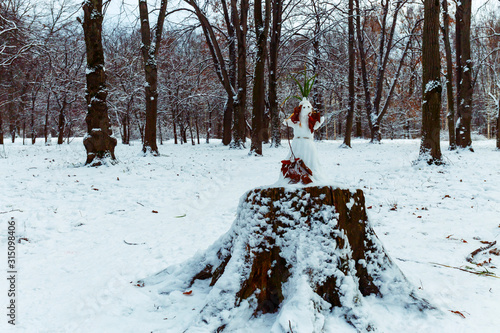 Photography Kind of snow girl made of snow