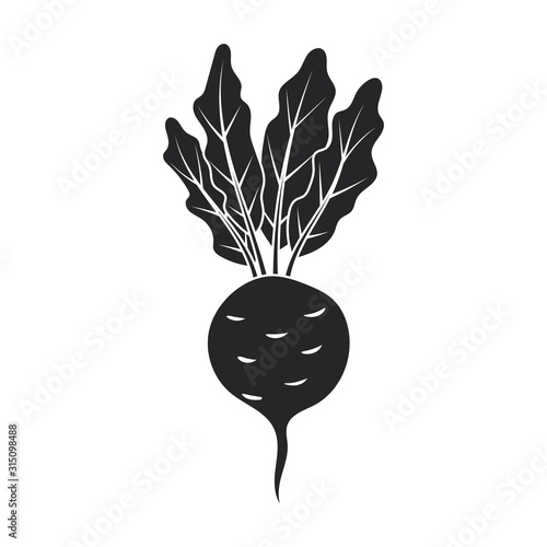 Beetroot vector icon.Black vector icon isolated on white background beetroot . photo