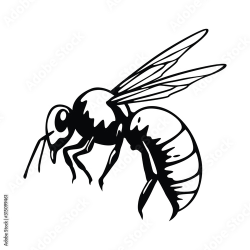 Hand drawn worker bee image vector.