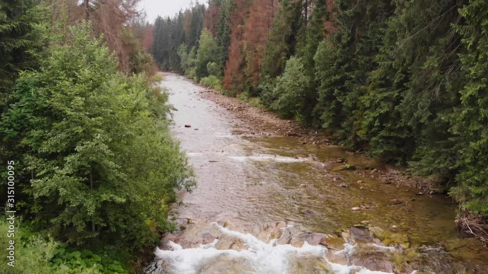 Rwący strumień płynący przez gęsty las z lotu ptaka Rwący strumień płynący przez gęsty las z lotu ptaka