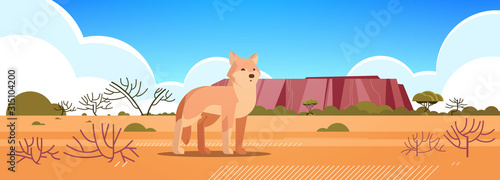 dingo enjoying the sun in australia desert australian wild animal wildlife fauna concept landscape background horizontal vector illustration