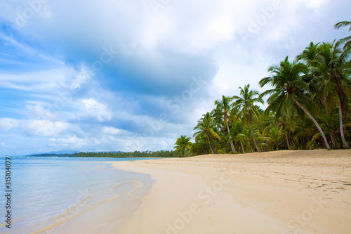 Caribbean sea and green palm trees.