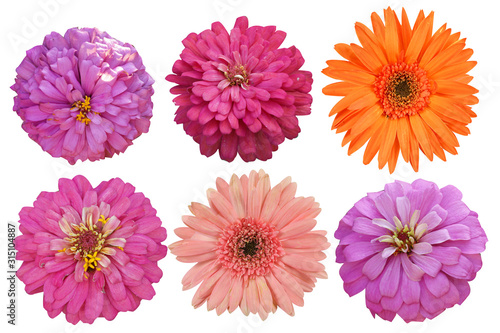 Flowers Isolated on White background with clipping path. There are red, pink, yellow and orange gerbera.