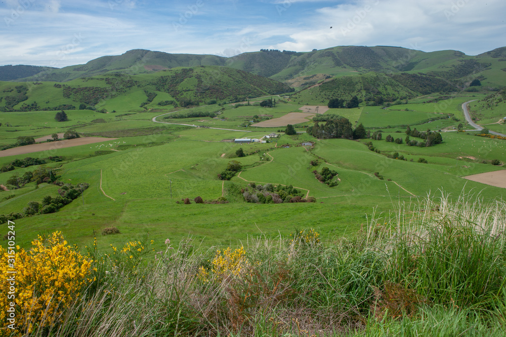 Purakanui Bay. Catlins. South Island New Zealand. Hills and meadows