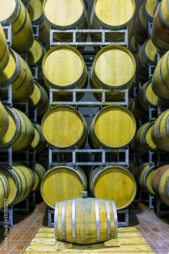 Oak barrels in the cellar
