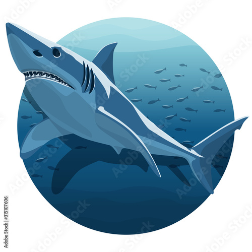 Vector Illustration Of White Shark