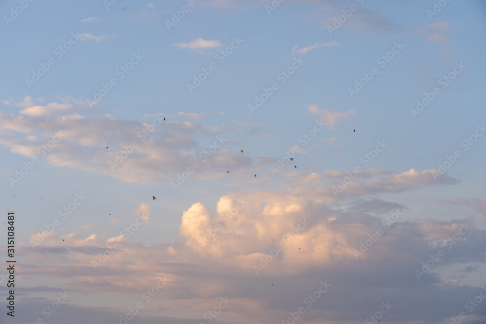 Obraz premium Sky clouds. Beautiful white clouds on blue sky.