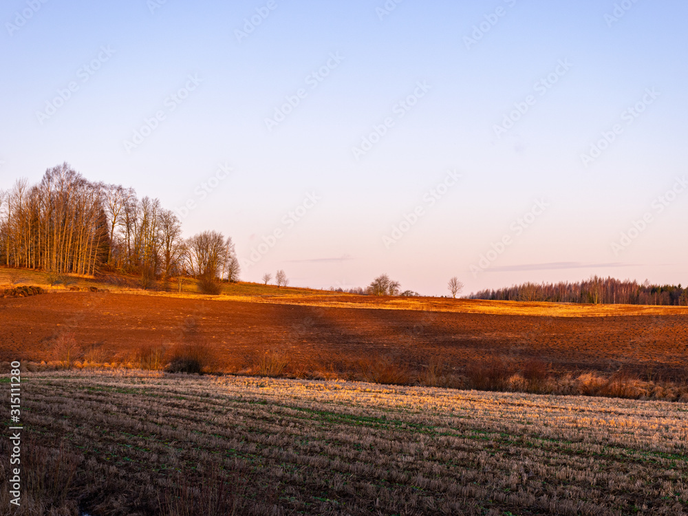 simple countryside, blurry field, long shadows