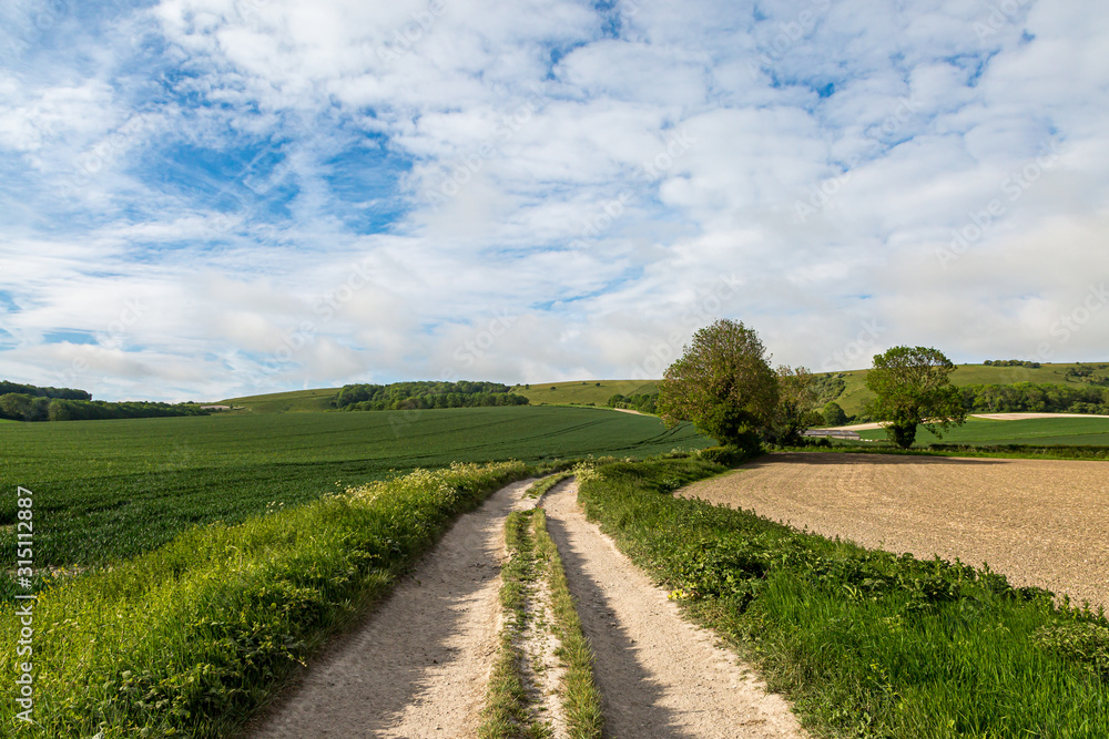 Looking along a dirt road through farmland in the South Downs, on a sunny late spring day