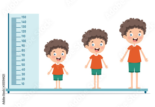 Height Measure For Little Children