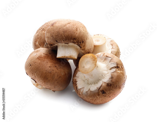 champignon mushrooms on white background