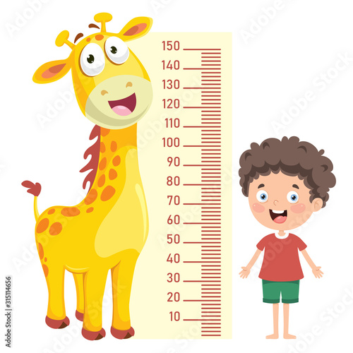 Height Measure For Little Children