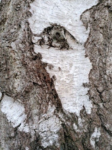 Natur.